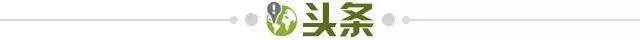 世界杯官网下载-【早报】白岩松vs陈戌源:《白问》真的白问了吗?